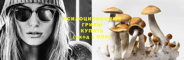 кокаин перу Алзамай