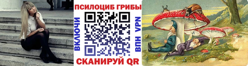 наркошоп Спас-Клепики Галлюциногенные грибы прущие грибы